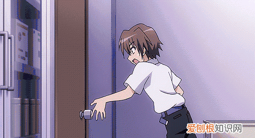 北方人遇到南方蟑螂的奇葩事,当北方蟑螂遇到南方蟑螂配音