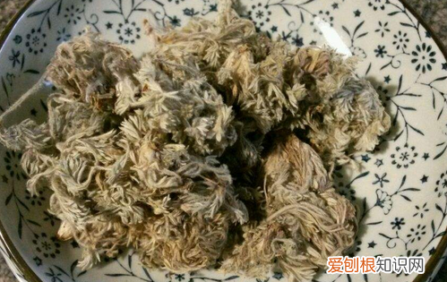 新鲜茵陈怎么处理，茵陈直接晒干好还是蒸熟了晒干好