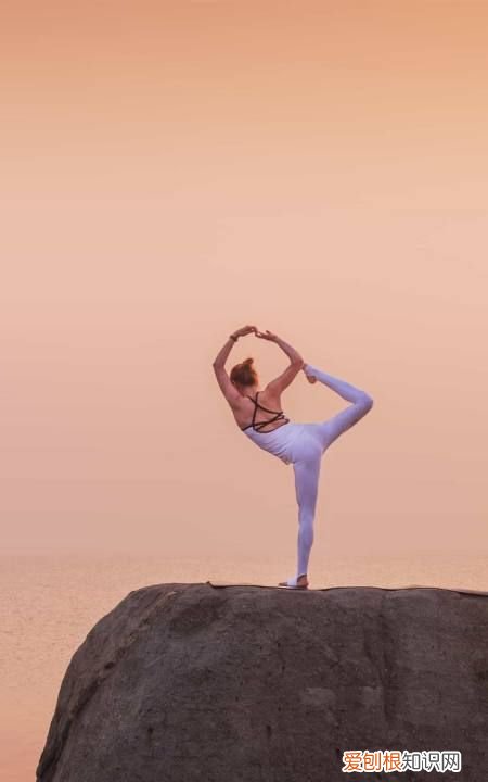 掌珠之喜什么意思,文定之喜是什么意思