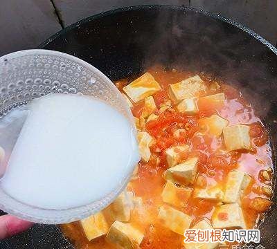 西红柿炖豆腐的做法，西红柿和豆腐怎样做好吃
