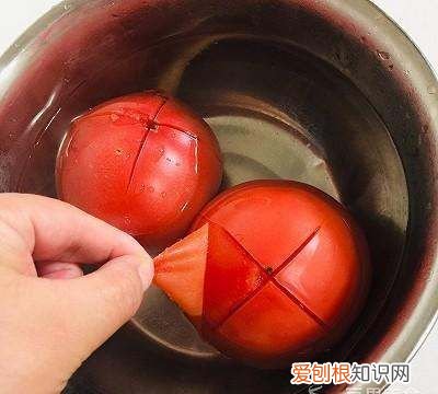 西红柿炖豆腐的做法，西红柿和豆腐怎样做好吃