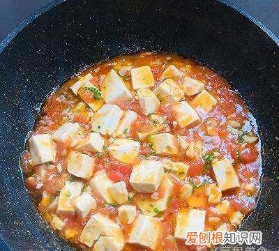 西红柿炖豆腐的做法，西红柿和豆腐怎样做好吃