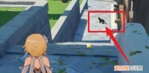 原神小王子寻找任务怎么做，《原神》中小王子的黑猫在哪里找到