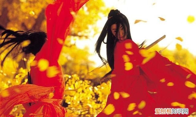 印度电影英雄赞曲原型，如何评价张艺谋电影《英雄》