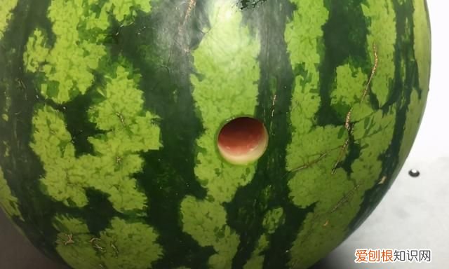 不用榨汁机榨西瓜汁最简单的方法 不用榨汁机就能榨出来西瓜汁