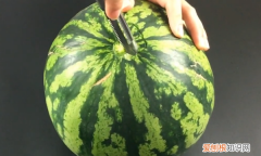 不用榨汁机榨西瓜汁最简单的方法 不用榨汁机就能榨出来西瓜汁