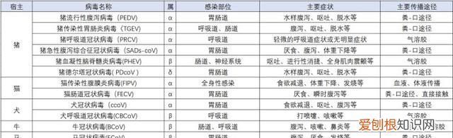 人和动物间的冠状病毒不同