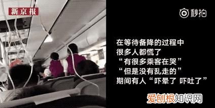 万米高空电影想表达什么 万米高空是什么电影