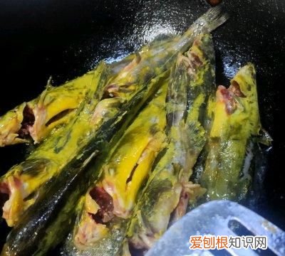 老少皆宜酸汤黄辣丁昂刺鱼