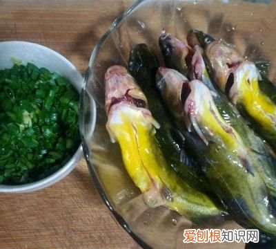 老少皆宜酸汤黄辣丁昂刺鱼