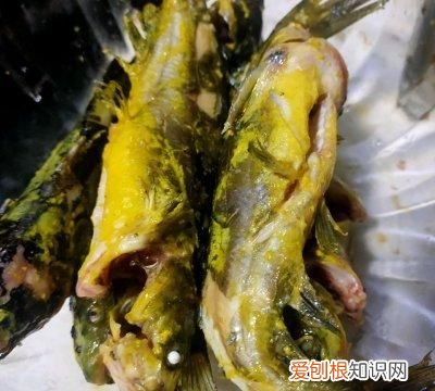 老少皆宜酸汤黄辣丁昂刺鱼