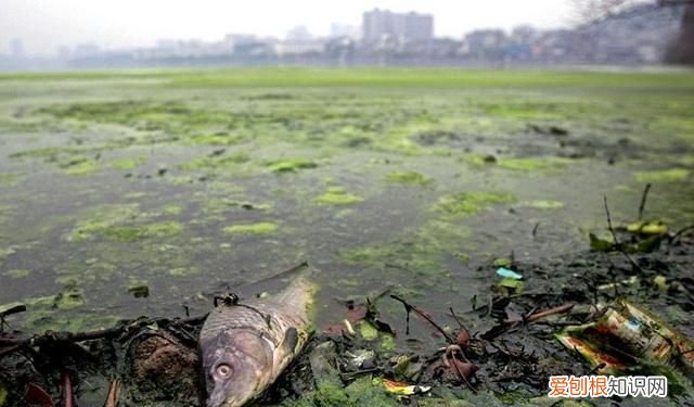 喝水对人体的重要性,你知道吗?