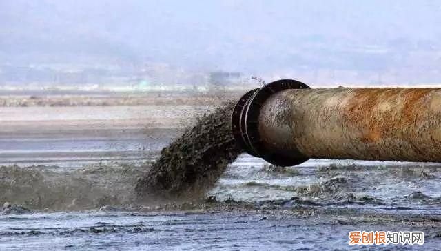 喝水对人体的重要性,你知道吗?