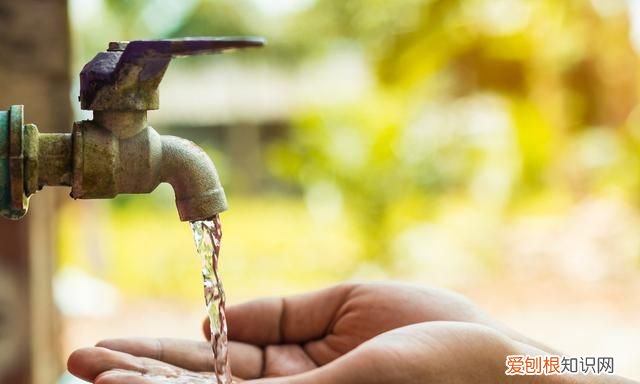 喝水对人体的重要性,你知道吗?