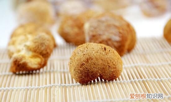 猴头菇的营养价值,胃酸胃痛喝丁香猴头菇茶为什么可以起到作用