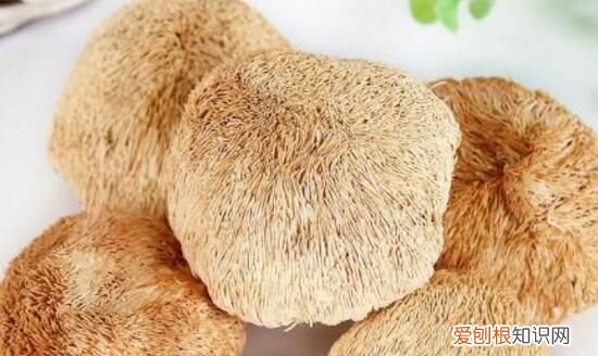 猴头菇的营养价值,胃酸胃痛喝丁香猴头菇茶为什么可以起到作用