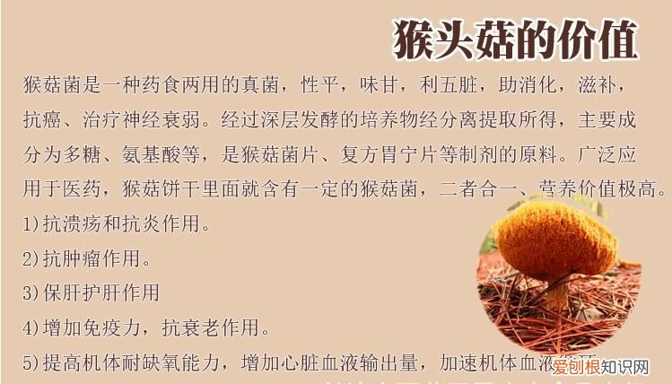 猴头菇的营养价值,胃酸胃痛喝丁香猴头菇茶为什么可以起到作用