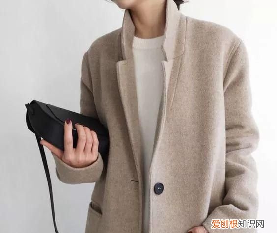 冬天了,穿过的大衣不好洗?看这篇就够了的说说