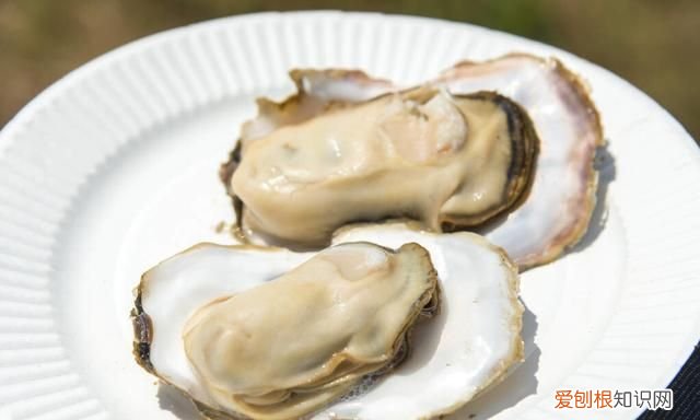 生蚝蒸多长时间最好吃带壳,生蚝料汁怎么调生蚝蒸多久