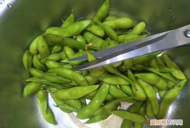凉拌毛豆水煮毛豆带壳的做法 煮毛豆怎样才能入味