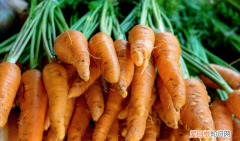 胡萝卜最好吃的9种做法 胡萝卜最好吃的4种做法
