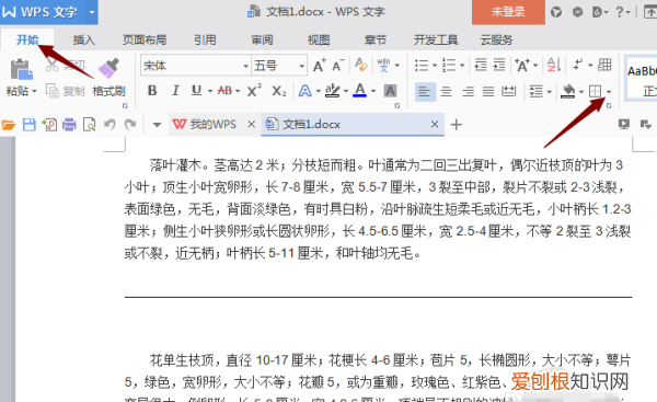 word文档中的下划线怎么去掉