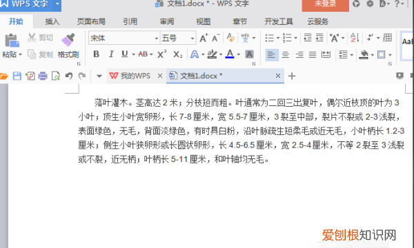 word文档中的下划线怎么去掉