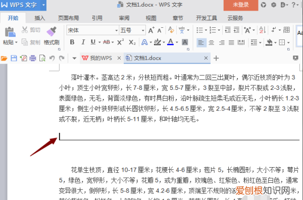 word文档中的下划线怎么去掉
