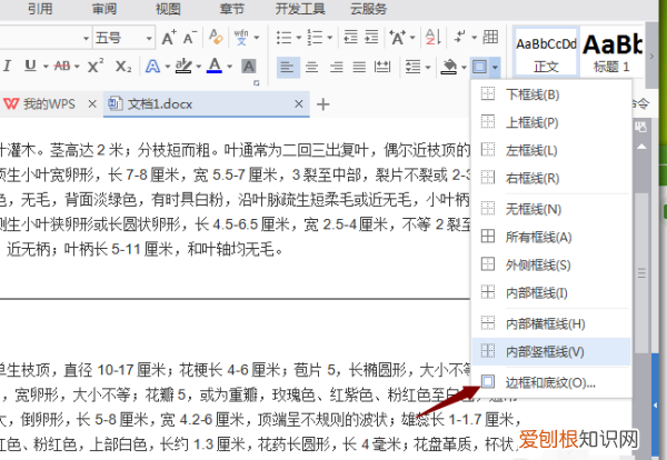 word文档中的下划线怎么去掉