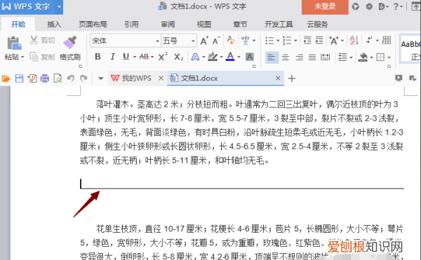 word文档中的下划线怎么去掉