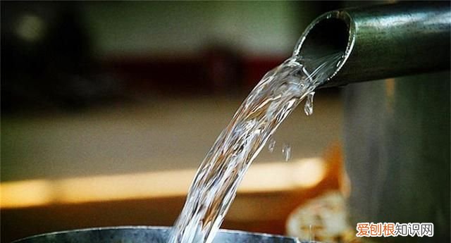 唐三镜酿酒怎么样 唐三镜生料发酵方法