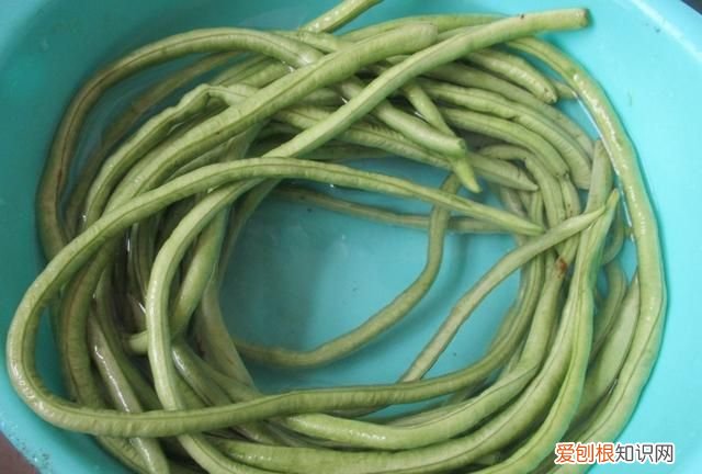 豆角蒸包子焯水还是不焯水？1步做对了豆角翠绿，包子鲜美吃不够