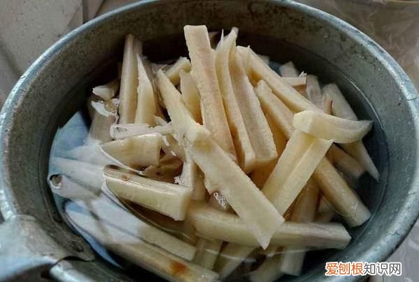 5月份吃什么小海鲜最肥美 十月最肥美的海鲜