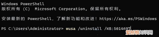 win11连接热点后网络还不能使用