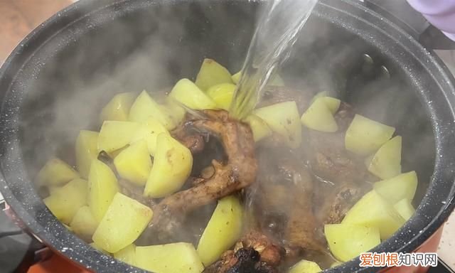 鹅肉怎么炖去腥味又好吃 春天吃鹅肉用什么炖好