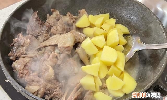 鹅肉怎么炖去腥味又好吃 春天吃鹅肉用什么炖好