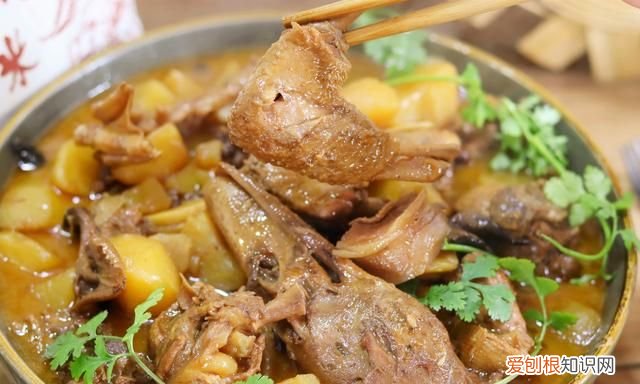 鹅肉怎么炖去腥味又好吃 春天吃鹅肉用什么炖好