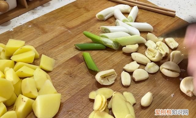 鹅肉怎么炖去腥味又好吃 春天吃鹅肉用什么炖好