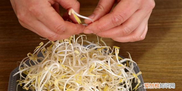 豆芽怎么炒好吃又简单,凉拌豆芽教程超级开胃