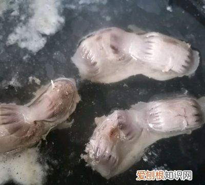 0难度的芒果干 0难度的灯笼折纸