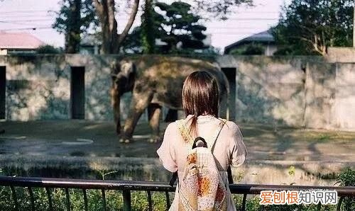 宁愿跑起来被拌倒无数次,也不愿规规矩矩走一辈子图片