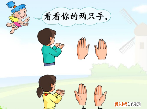 动物左右怎么分例题，小学一年级数学动物的左右怎样区分?