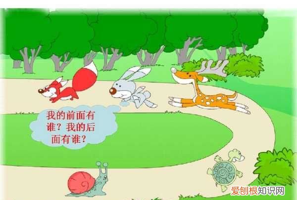 动物左右怎么分例题,小学一年级数学动物的左右怎样区分?