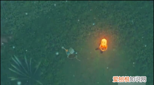 迷雾森林怎么走,王国之泪迷雾森林怎么走