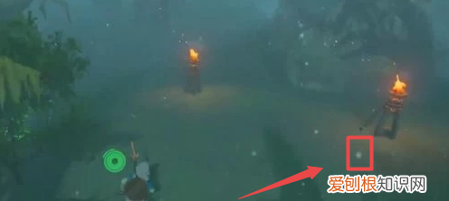 迷雾森林怎么走，王国之泪迷雾森林怎么走