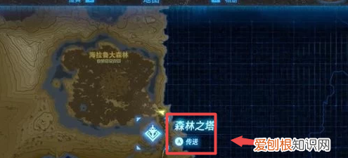 迷雾森林怎么走,王国之泪迷雾森林怎么走