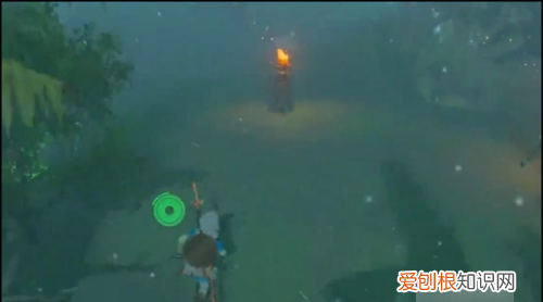 迷雾森林怎么走,王国之泪迷雾森林怎么走