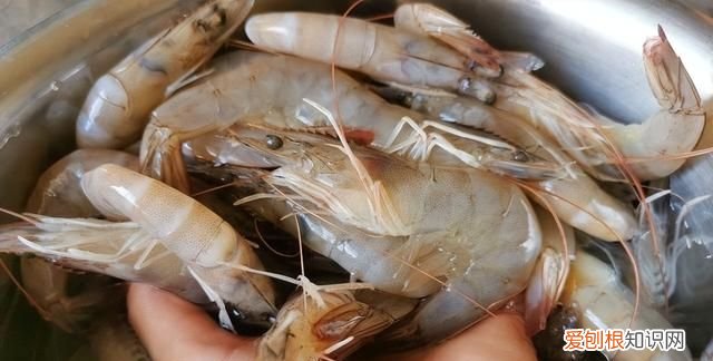 天气冷了就要吃这道菜营养又美味