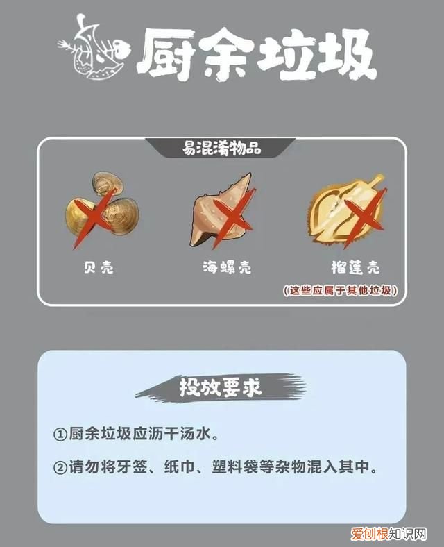 垃圾分类的宣传小知识