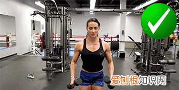 哑铃侧平举的动作要领,练肩中束哑铃侧平举动作要领